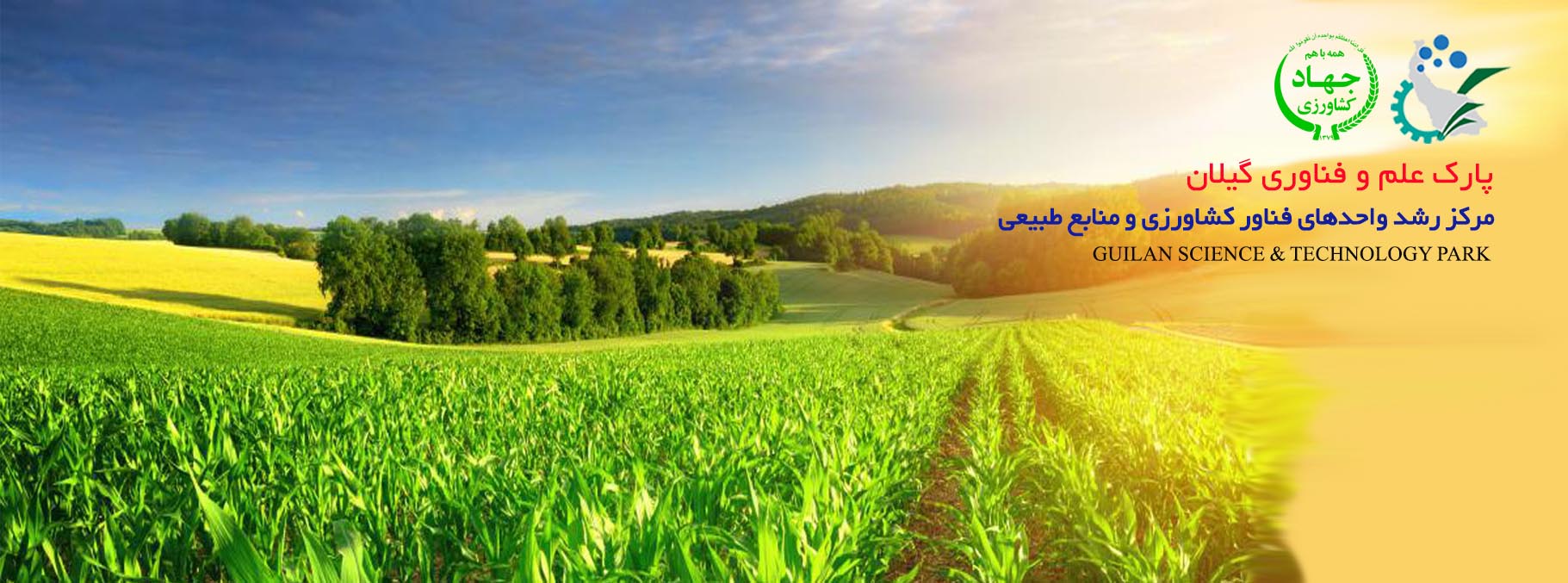 مرکز رش...